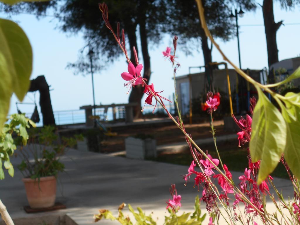 Brunello Seaside Apartments Lefkáda Extérieur photo